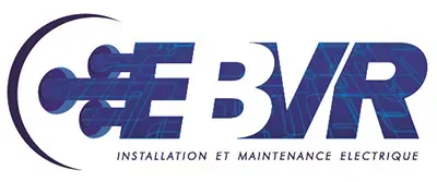 logo ebvr